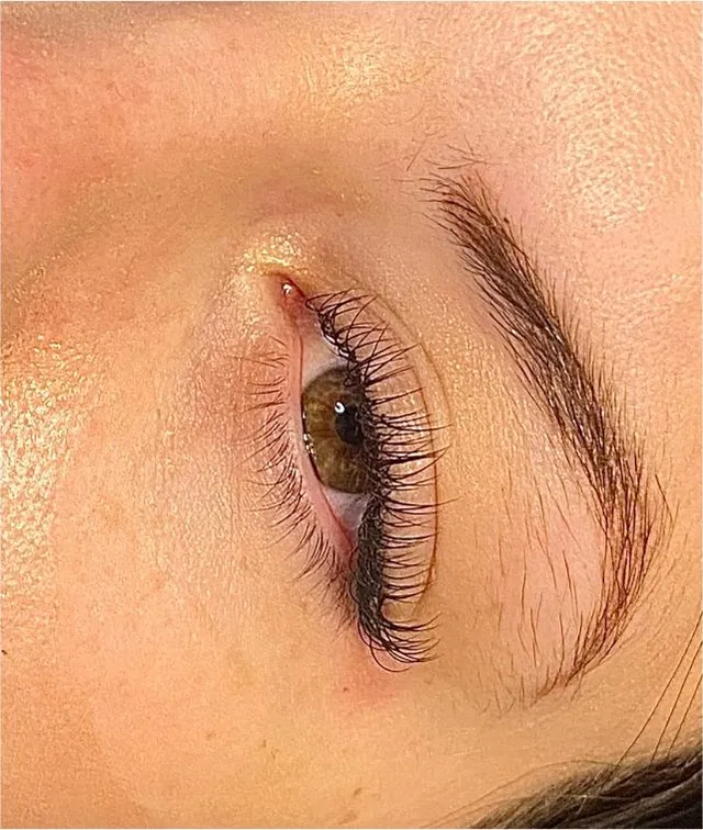 A brow lamination result